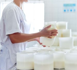 Cropped shot of an unrecognizable woman working in a cheese factory