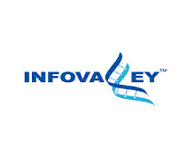 infovalley logo